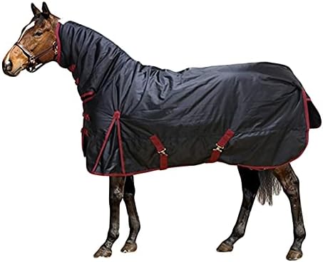 DWJ At Giysileri ile Bir At Yün Battaniye ile Boyun Kombinasyonu, Su Geçirmez Gözyaşı Geçirmez Nefes Oxford Kumaş