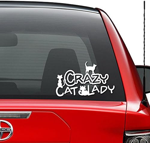 Çılgın Kedi Lady Pet Lover Vinil Çıkartması Sticker Araç Kamyon Araç Tampon Pencere Duvar Dekor Kask Motosiklet ve Daha - (Boyut