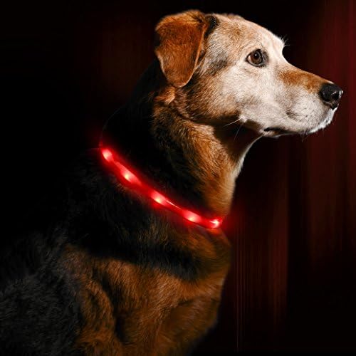 Illumiseen LED Köpek Kolye Yaka-USB Şarj Edilebilir Döngü-6 Renkte Mevcuttur-Köpeğinizi Görünür, Güvenli ve Görünür Hale Getirir